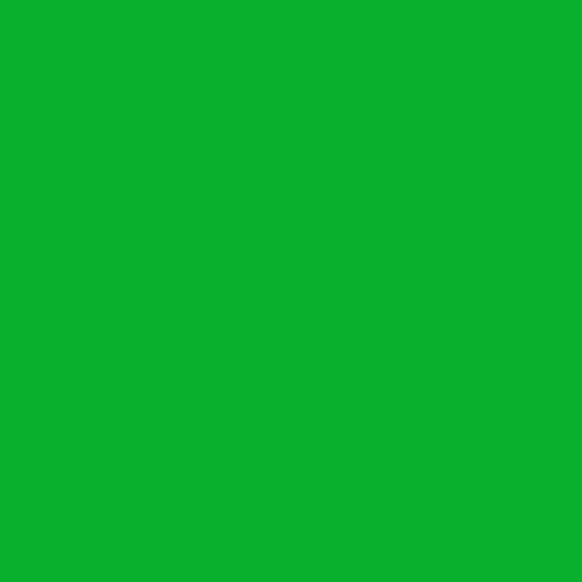 BRESSER SBP10 Fondo de papel 1,69 x 11m Verde Chromakey