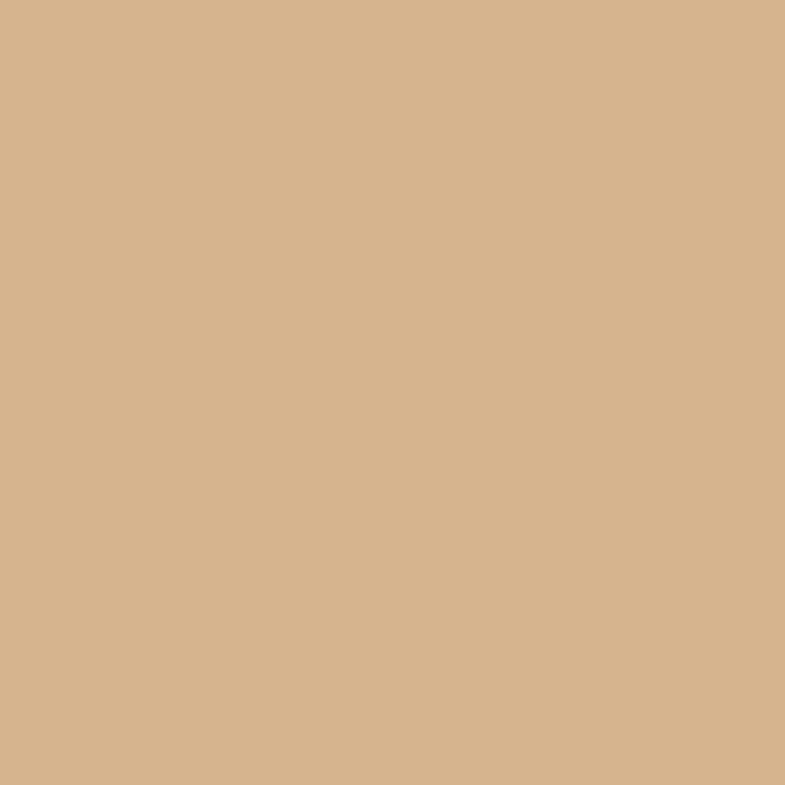 BRESSER SBP15 Fondo de papel 2,72 x 11m Beige